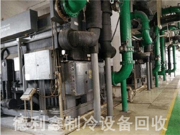 �е»����廯ﮣ��廯﮻�����գ���Ѳ��